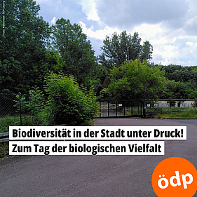Biodiversität in der Stadt unter Druck! Zum Tag der biologischen Vielfalt.