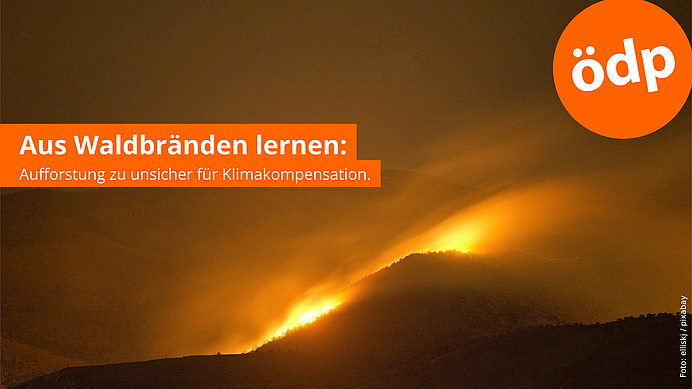 Aus Waldbränden lernen: Aufforstung zu unsicher für Klimakompensation.